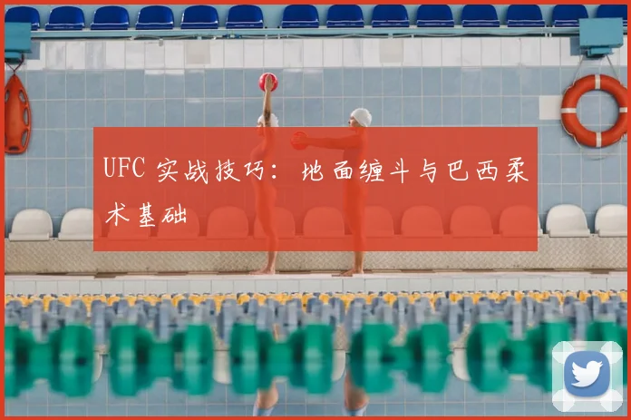 UFC 实战技巧:地面缠斗与巴西柔术基础