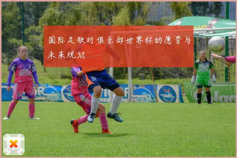 国际足联对俱乐部世界杯的愿景与未来规划