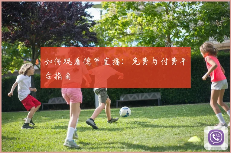 如何观看德甲直播:免费与付费平台指南