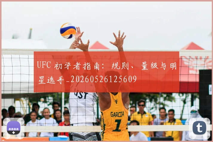 UFC 初学者指南:规则、量级与明星选手_20260526125609