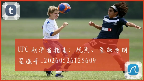 UFC 初学者指南：规则、量级与明星选手_20260526125609